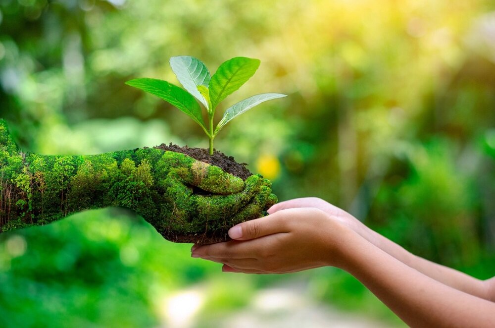 The Effects of Recycling<br><br>
